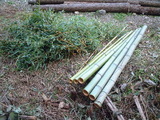 20051128eea33a57.jpg