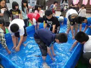IMGP1062.JPG